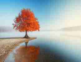 智﻿能​元‍标﻿签﻿优﻿化‌平​台​